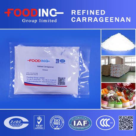 Carrageenan suppliers